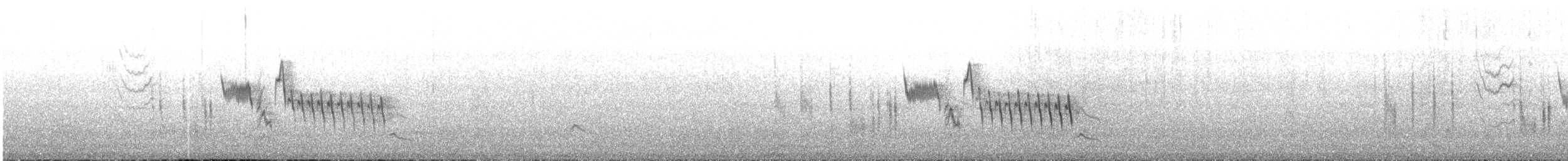 Southern House Wren - ML643906848