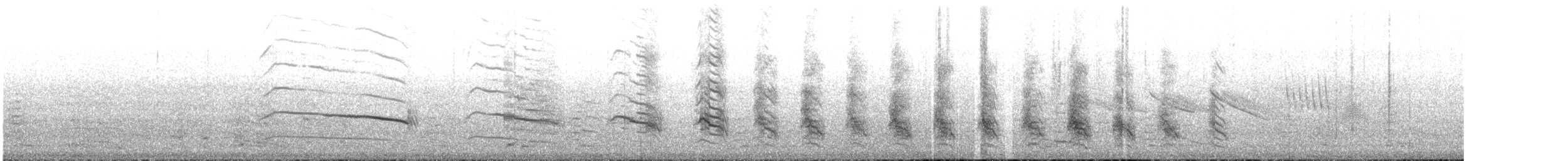 brunkarakara - ML643906924