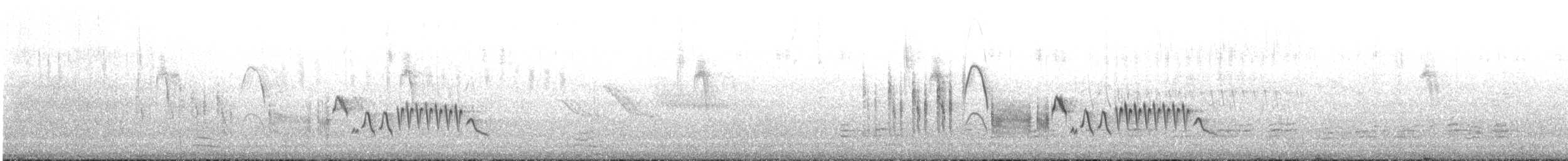 Southern House Wren - ML643907458