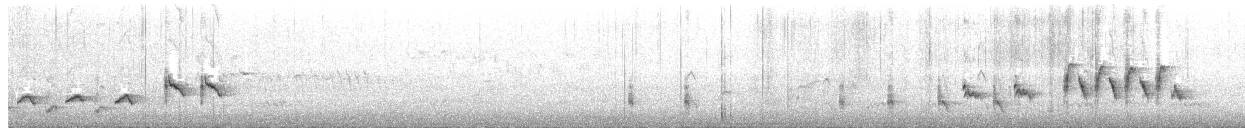 Australian Reed Warbler - ML643909659