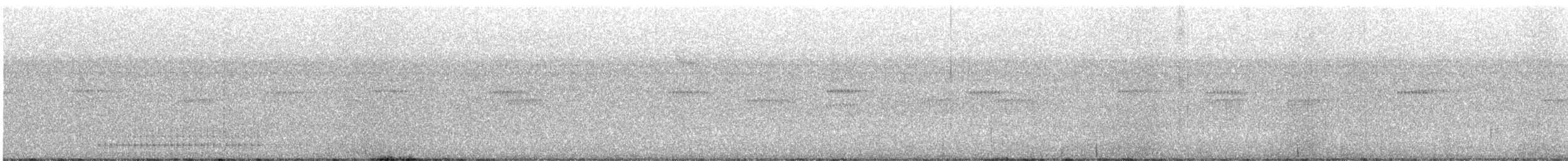 woodpecker sp. - ML643909677