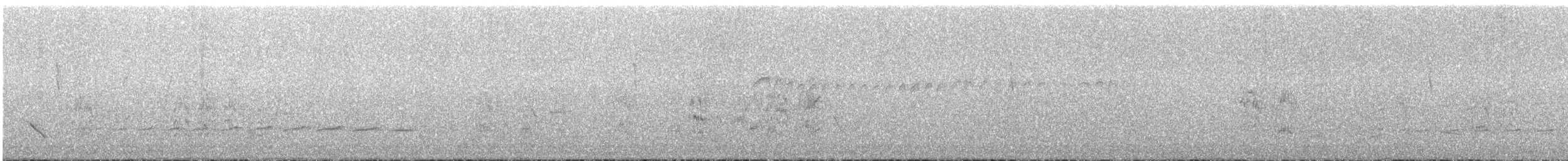 Red-billed Scythebill - ML643910647