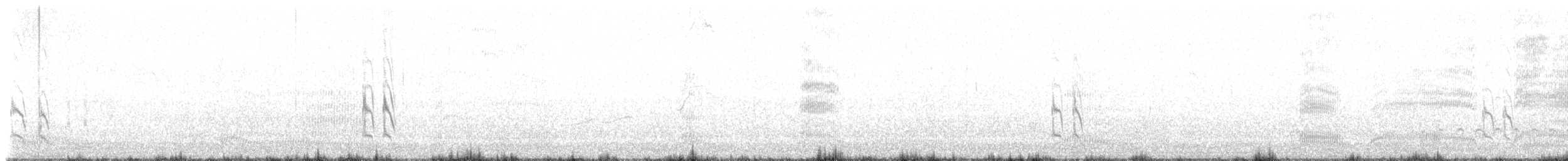 Ruddy Turnstone - ML643911026