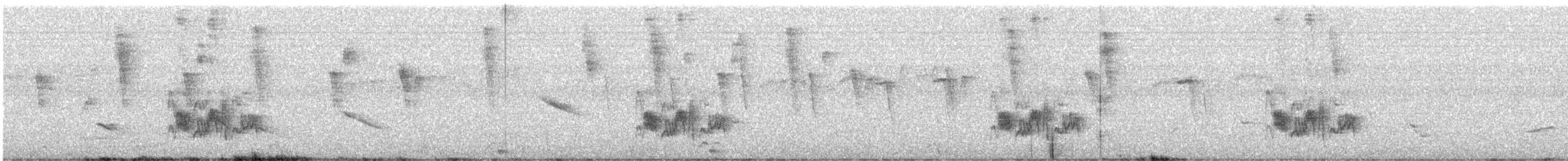 Large Elaenia - ML643912495