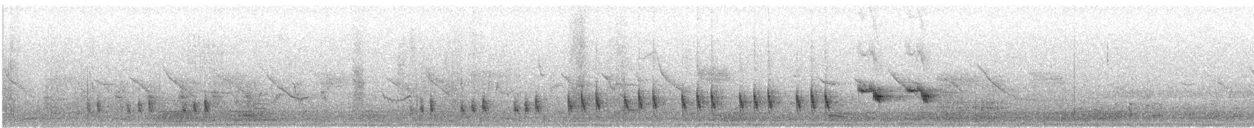 Chilean Mockingbird - ML643913174