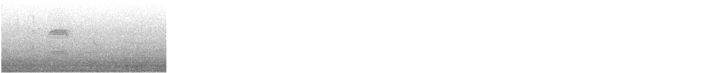 strakapoud východní - ML643919016