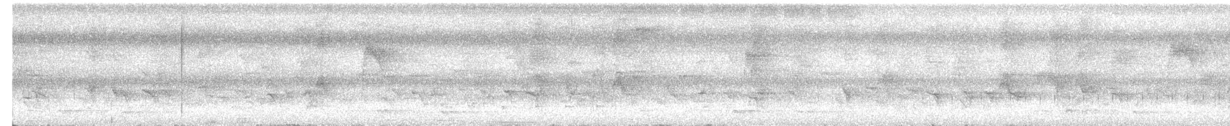 Gray Junglefowl - ML643919491