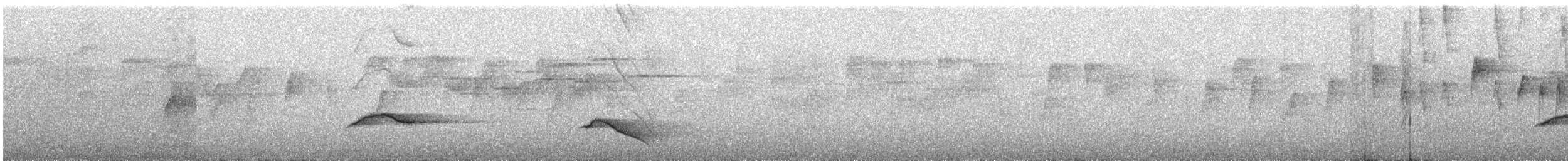 Black-faced Monarch - ML643920691
