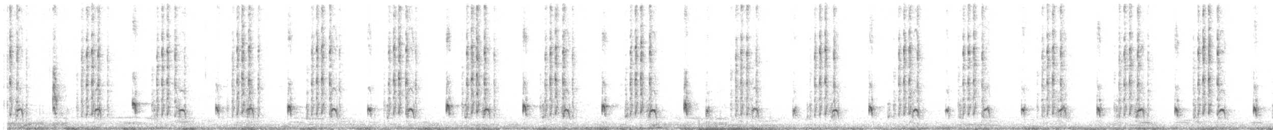 ゴマフオナガゴシキドリ（usambiro） - ML643920900