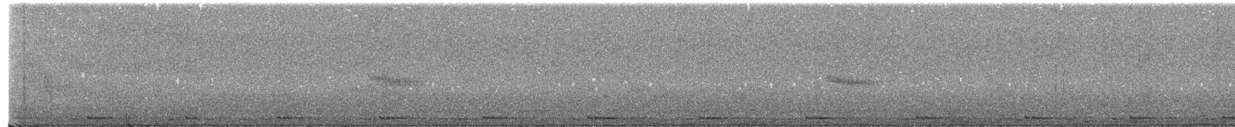 modravec siný - ML643921177