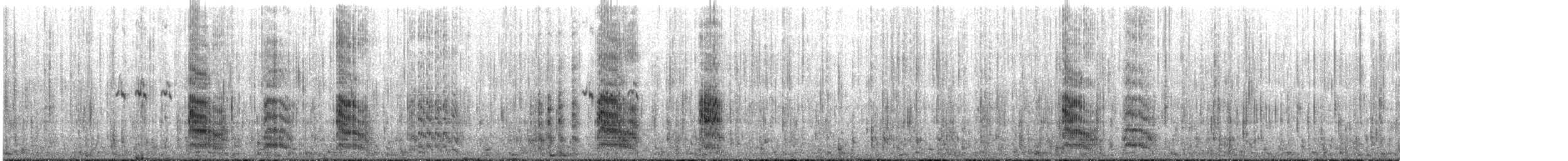 Great Crested Tern - ML643922385