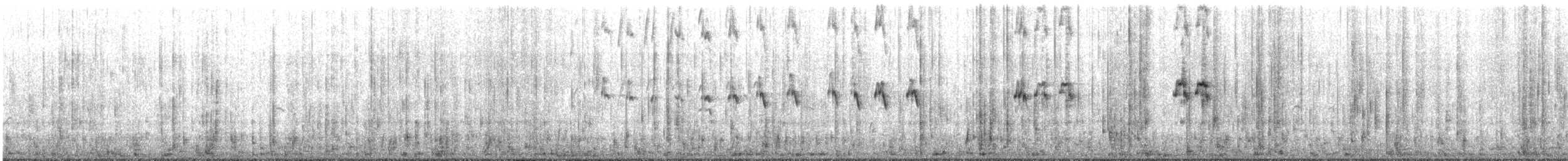 Great Crested Tern - ML643922426