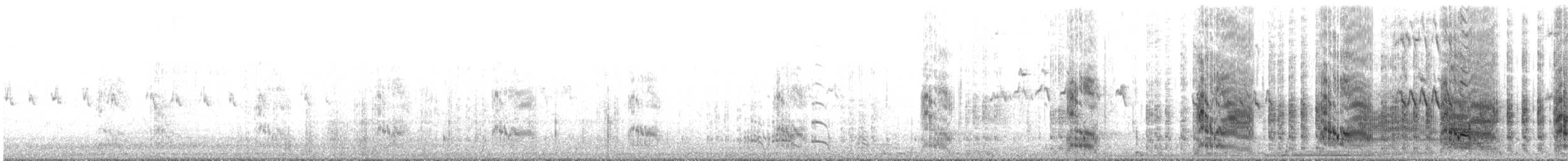 Great Crested Tern - ML643922539