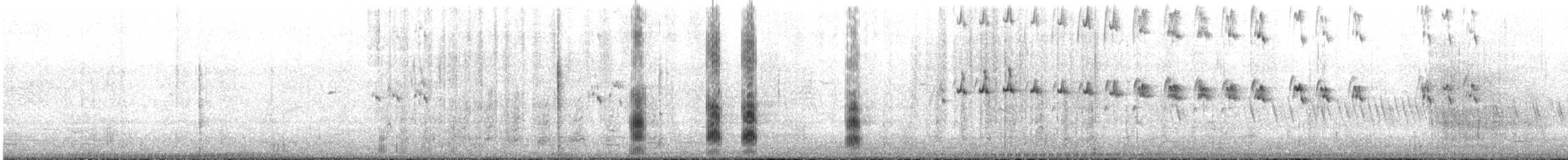 Great Crested Tern - ML643922620