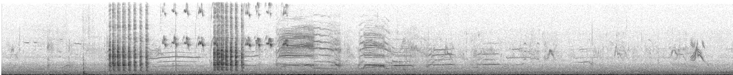 Great Crested Tern - ML643922621