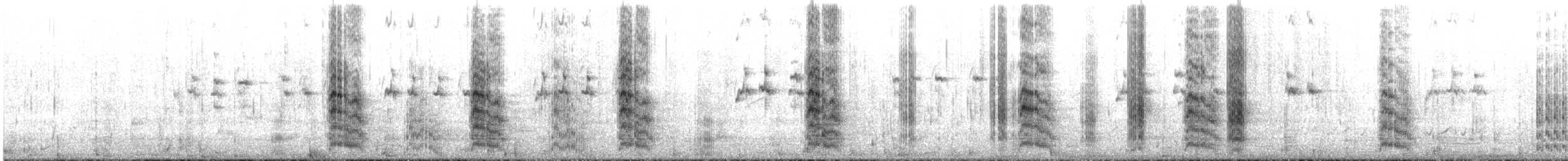 Great Crested Tern - ML643922792