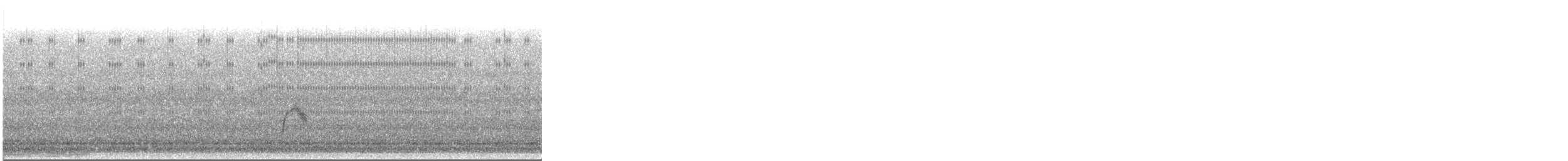 Gray-cheeked Thrush - ML643922895