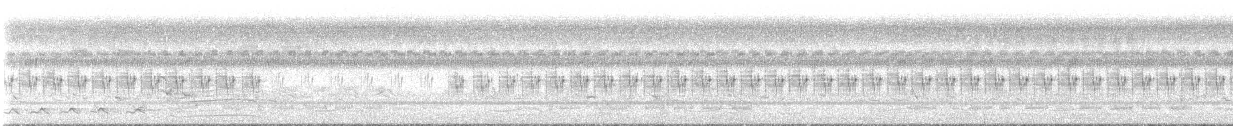 Plain Prinia - ML643923326