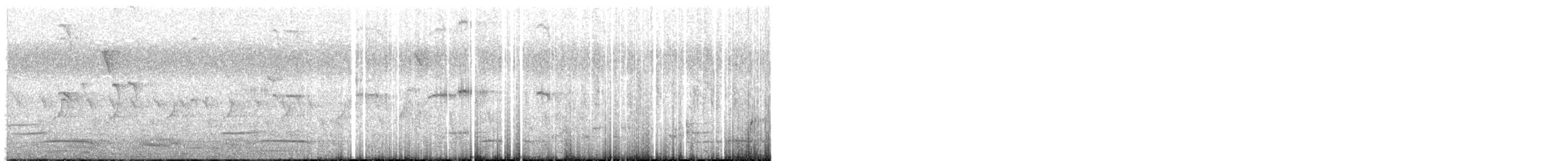 Indian Peafowl - ML643923524