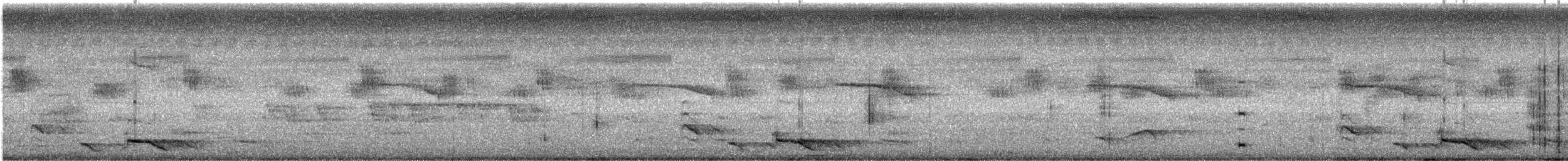 ズグロコウライウグイス - ML643923548