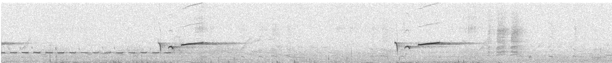 Southern Scrub-Robin - ML643924477