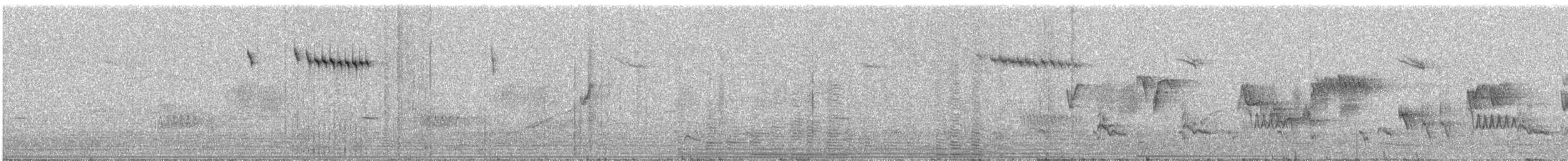 Splendid Fairywren - ML643924500