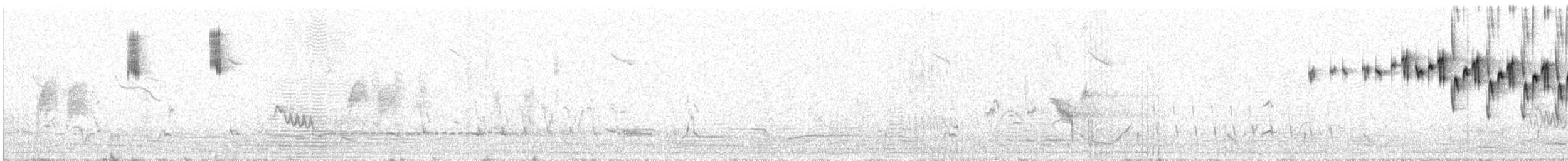 Splendid Fairywren - ML643924501