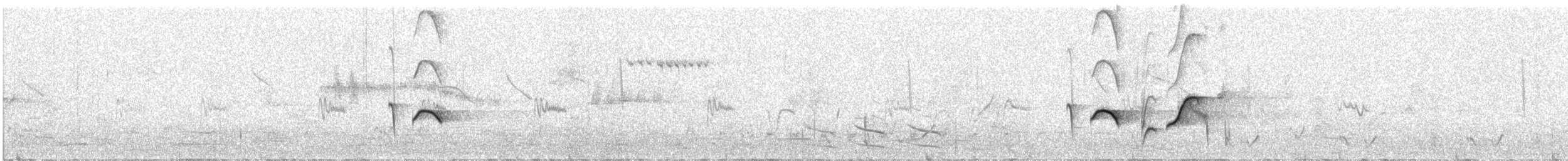 Southern Scrub-Robin - ML643924506