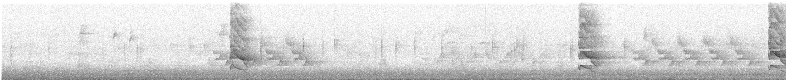 Northern Flicker (Yellow-shafted) - ML643925532