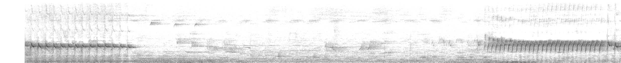 White-winged Triller - ML643926081