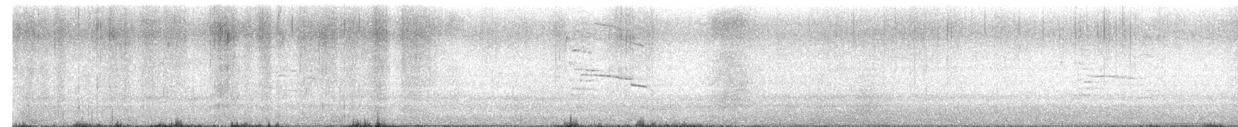 Gabbiano reale pontico - ML643926208