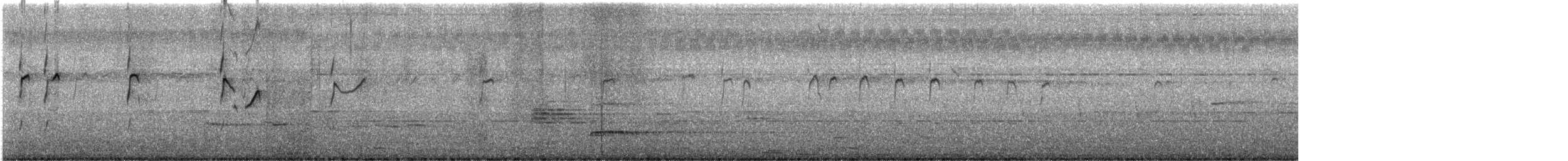 Waldwasserläufer - ML643926296