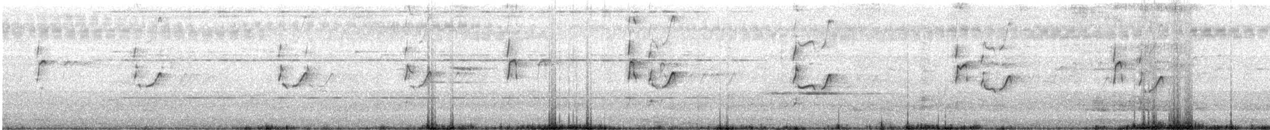 Waldwasserläufer - ML643926338