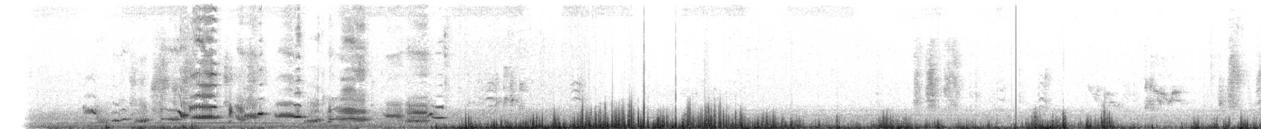 Australian Magpie - ML643927188