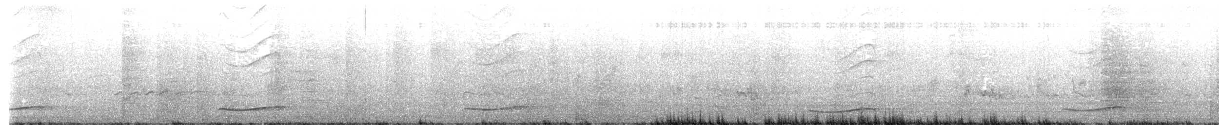 Pacific Koel - ML643927260