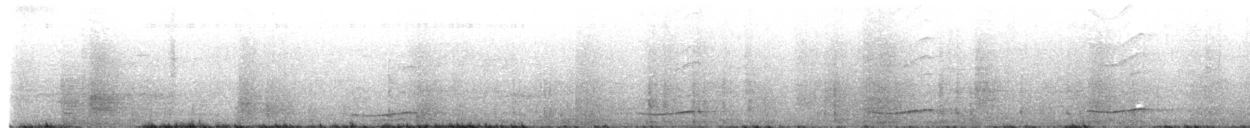 Pacific Koel - ML643927261