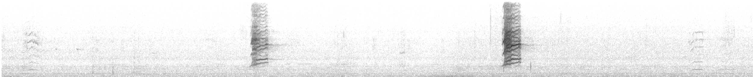 シロビタイキバネミツスイ - ML643928149