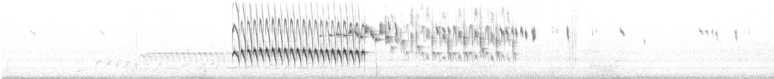 Splendid Fairywren - ML643928259