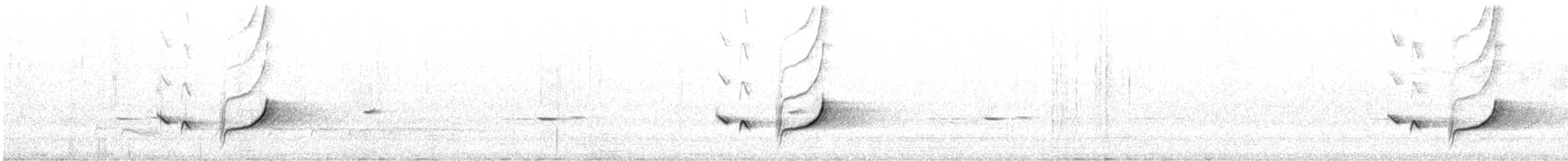 Southern Scrub-Robin - ML643928275