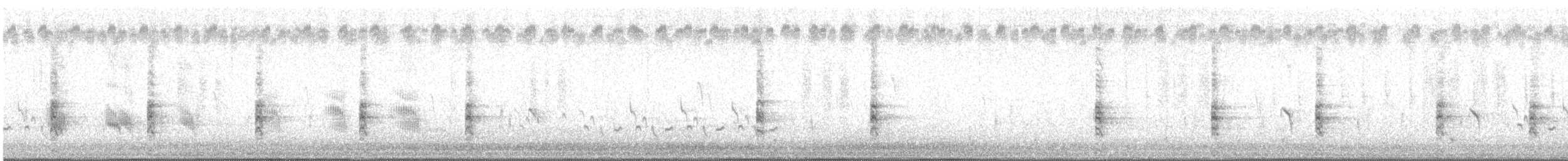 King Rail - ML643928713