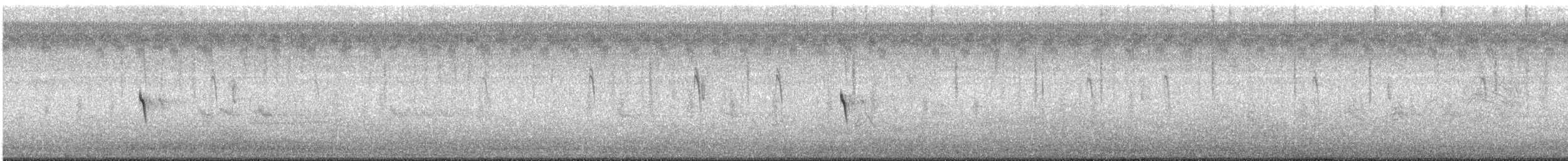 Eastern Phoebe - ML643928876