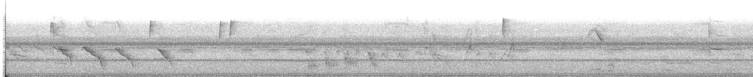 Black-capped Donacobius - ML643928895