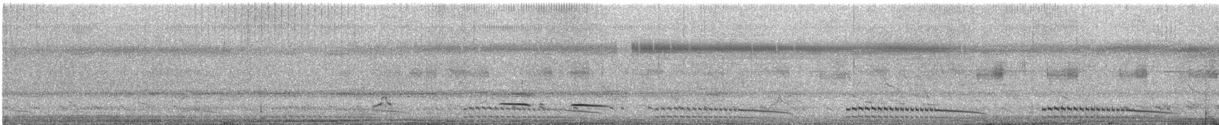 Ash-throated Crake - ML643929747