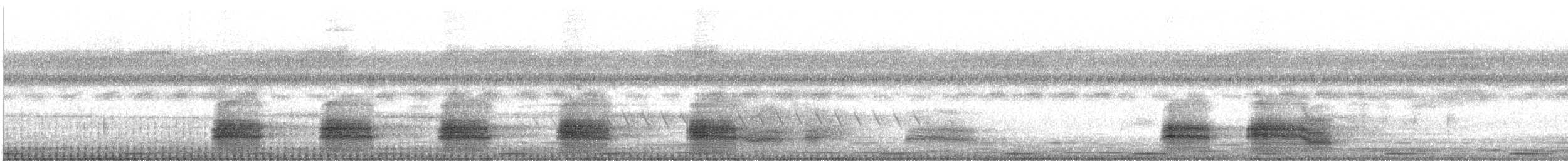 Sulawesi Crow - ML643931130