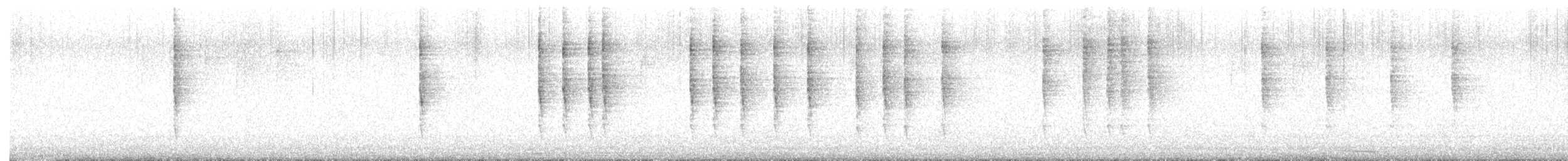 Scricciolo - ML643931318