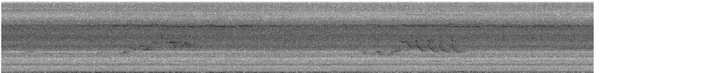 Lompobattang Leaf Warbler - ML643931489