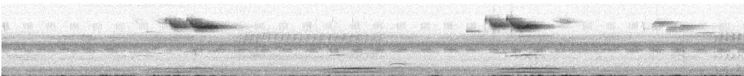 Sulawesi Bush Warbler - ML643931495