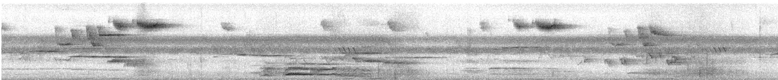 Sulawesi Bush Warbler - ML643931496