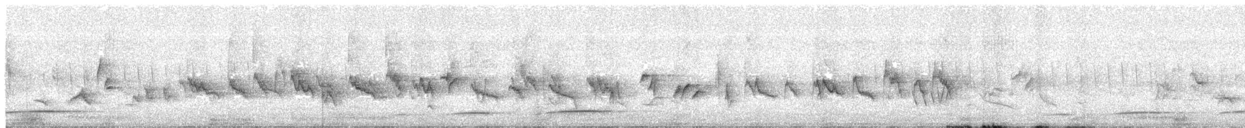 svartgjøk - ML643932695