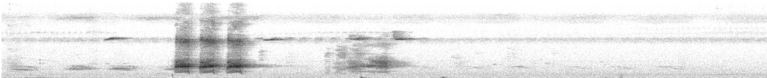 White-bellied Treepie - ML643932888